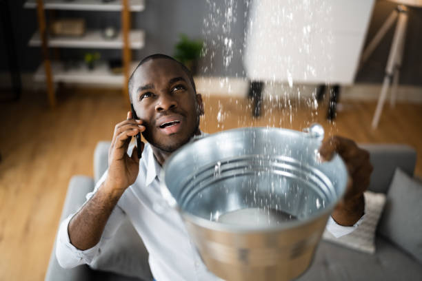 Best Water damage contractors near me  in Utica, MI