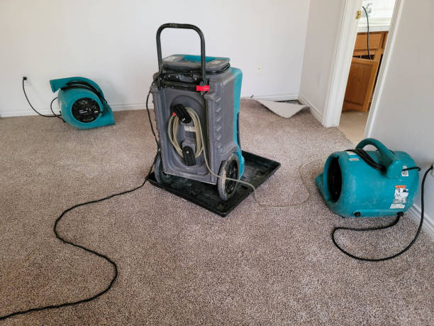 Best Basement water damage restoration  in Utica, MI