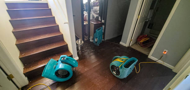 Best Mold removal after water damage  in Utica, MI