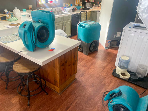 Best Sewage cleanup and water damage restoration  in Utica, MI