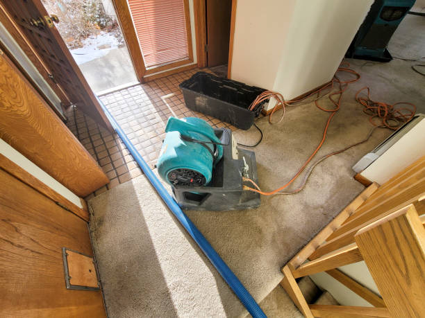  Utica, MI Water damage restoration Pros