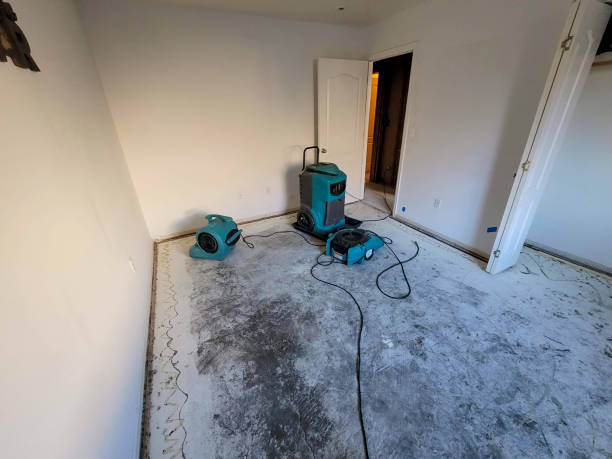 Best Emergency water damage restoration  in Utica, MI
