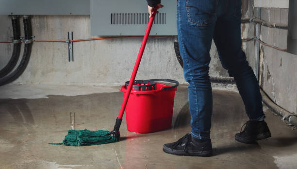 Best Professional water damage repair  in Utica, MI