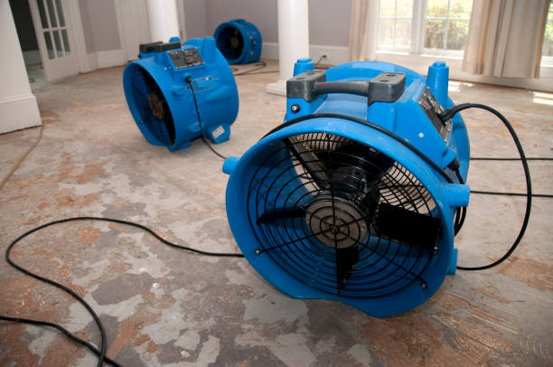 Fire Damage Restoration in Utica, MI