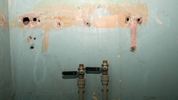 Best 24/7 water damage repair  in Utica, MI