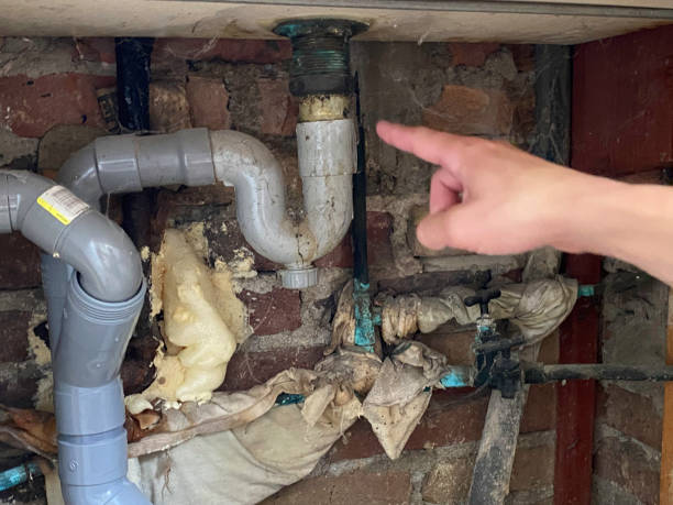 Best Flooded house restoration  in Utica, MI