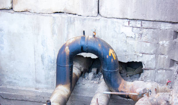 Best Ceiling water damage repair  in Utica, MI