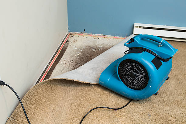 Best Water damage restoration insurance claims  in Utica, MI